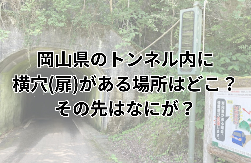 岡山県のトンネル内に横穴(扉)がある場所やその先は何？